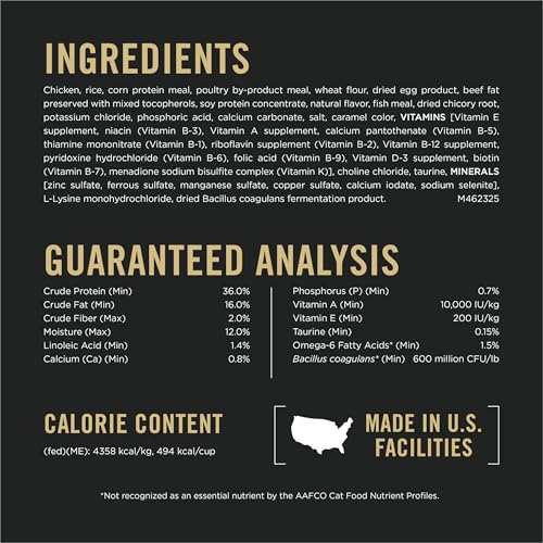 High Protein Cat Food with Probiotics