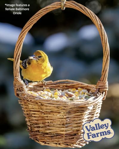 Woodpecker Mix (4 Pound (Pack of 1))
