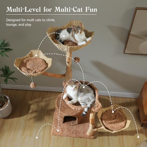 59" Modern Cat Tree for Large Cats (Brown / 59" Solid Wood Cat Tree)