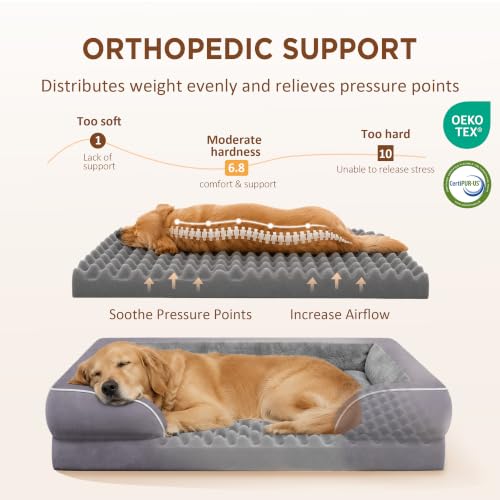 Waterproof Orthopedic Dog Bed for Medium Size Dog (30.0"L x 20.0"W x 7.0"Th / Purple)