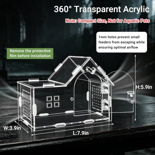 Acrylic Jumping Spider Enclosure Kit 25PCS with Decor (orange-Fairy Tale)