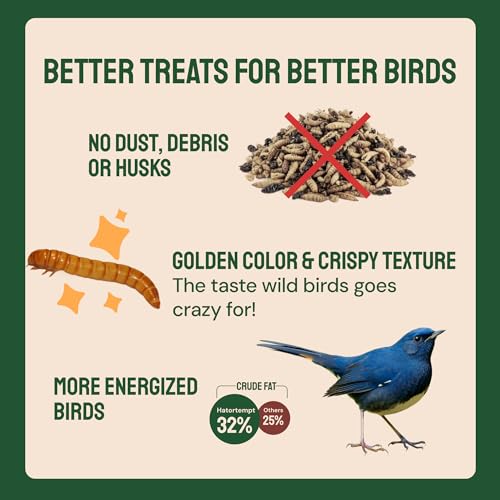 2lb Dried Mealworms for Wild Birds & Chickens (2 Pound (Pack of 1))