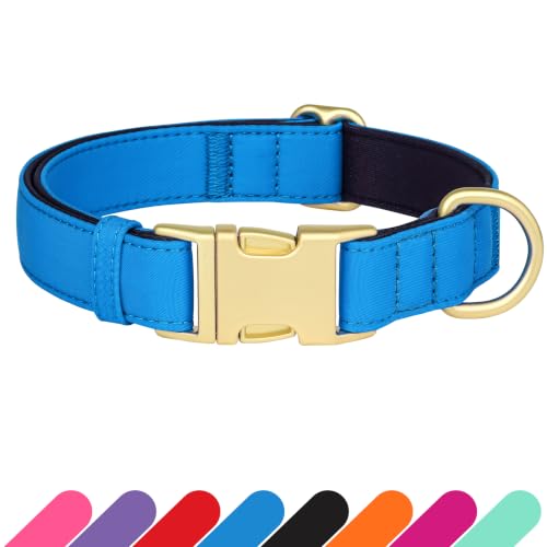 Soft Padded Dog Collar for Small Dogs (Blue / S：Fit 10-15" Neck, Width ⅝")