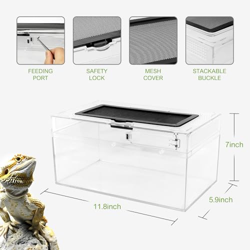 Reptile PC Terrarium Amphibian Tank Spider Enclosure Snake Cage 7x11.8x5.9inch Suitable for breeding Leopard Gecko (Transparent / XLarge)