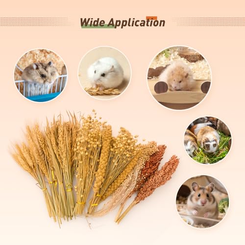 YeCheerful Hamster Sprays and Forage Accessories for Cages (colorB)