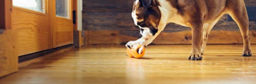 Qwizl Durable Zogoflex Dog Puzzle Toy for Mental Stimulation (Large / Tangerine)