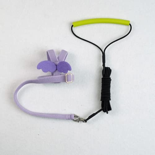 Pet Parrot Bird Harness Leash Adjustable Bird Flying Harness Traction Rope with Cute Wing for Parrots Pigeons Budgerigar Lovebird Cockatiel Mynah Outdoor Training Toy (S / Purple)