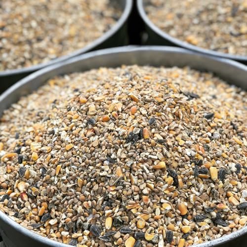 Non-GMO High-Protein Layer Blend 40 lb (40 Pound (Pack of 1))