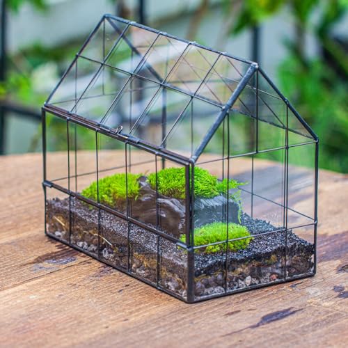 Geometric Glass Terrarium with Front Opening Door