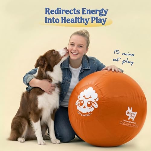 30" Herding Ball for Dogs (Tangerine - XL 30" Herding Ball Set / XL 30")