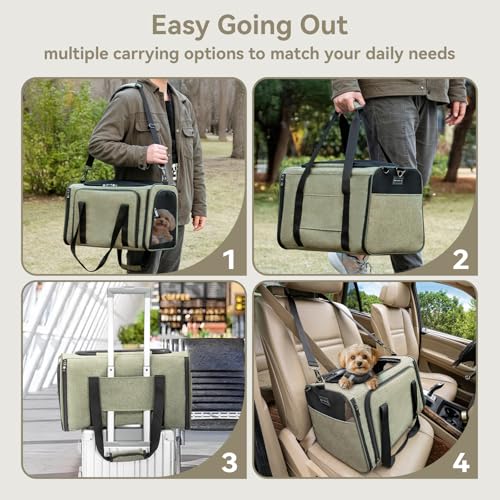 19"X12" X12" Expandable Pet Carrier (19.0"L x 12.0"W x 12.0"H / Green)