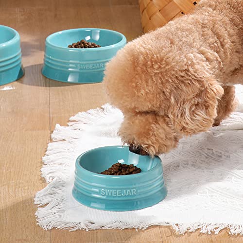 Sweejar Gradient Dog Bowl (Large (32oz) / Gradient Blue)