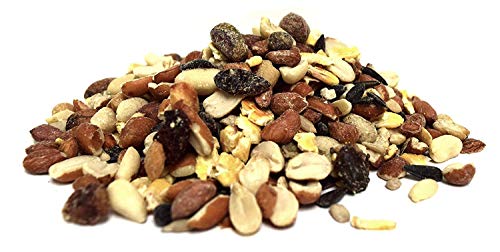 Fruit and Nut Wild Bird Seed (20 Pound (Pack of 1))