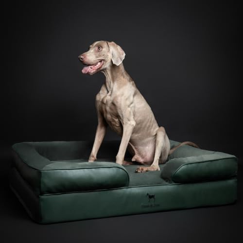 Large Dog Bed (Green - LE / X-Large)