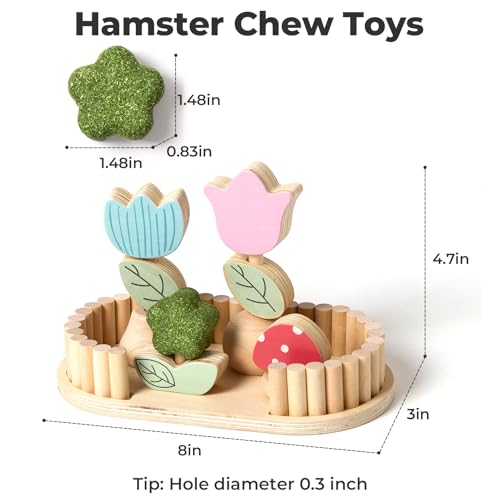Hamster Chew Toys for Teeth