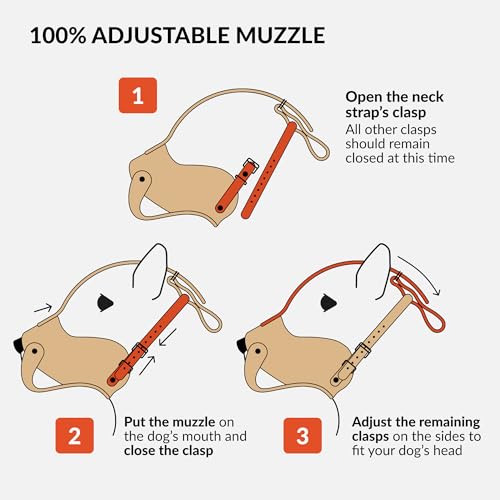 Leather Basket Muzzle for Pitbull & Amstaff (Brown Basket)