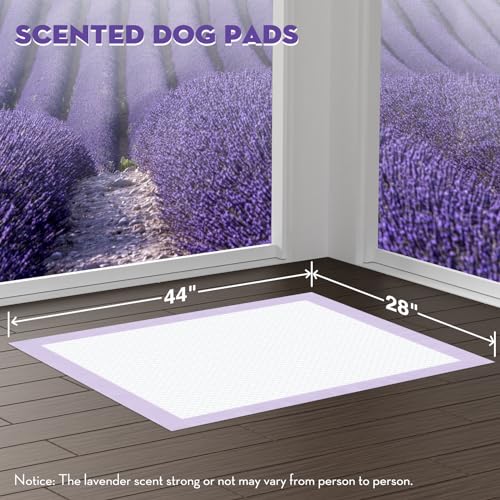 Puppy Pads with Adhesive Tabs Leak Proof Lavender Scent 28x44in 30Ct (Giant-28x44in(30Ct))