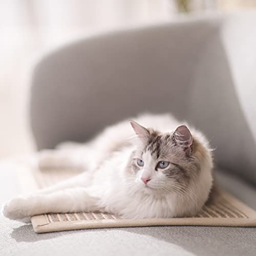 Cat Scratcher Mat (Cream-Thicken-23.6 x 15.7 Inch)