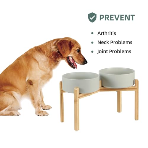 Dog Bowls Elevated (Matte Gray)