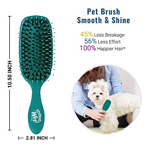 Pet Hair Brush (Teal / One Size)