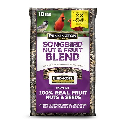 Songbird Nut & Fruit Blend Wild Bird Seed for Outside Feeders (10 lb)