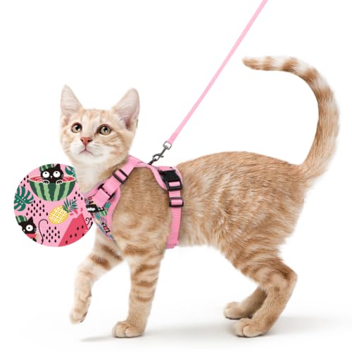 Cat Harness and Leash Set (S / Melon Munch)