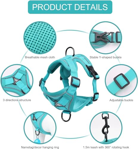 Vest Harness Leash Set for Small Dog Large Cat (Teal / XL)