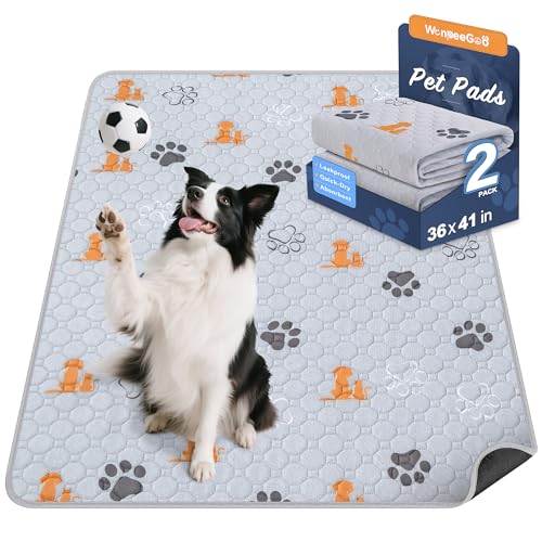 Washable Pee Pads for Dogs (Orange / 36"x41" (Pack of 2))