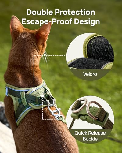 Upgraded Cat Harness and Leash Set (Green Growling Crocodile / XS)