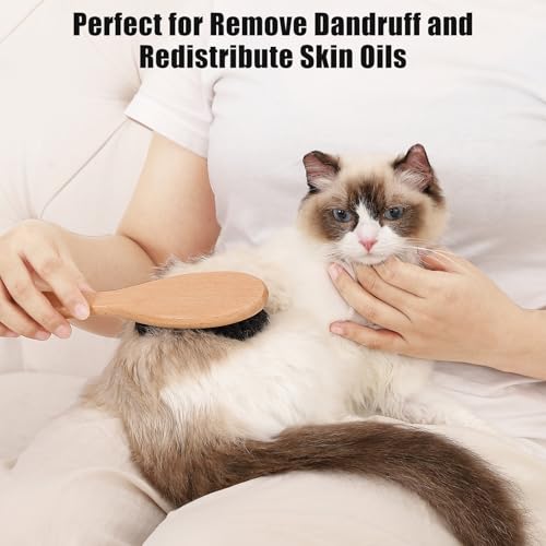 Boar Bristle Cat Brush with Wooden Handle (Wood)