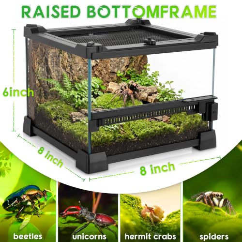 8"x8"x6" Reptile Terrarium