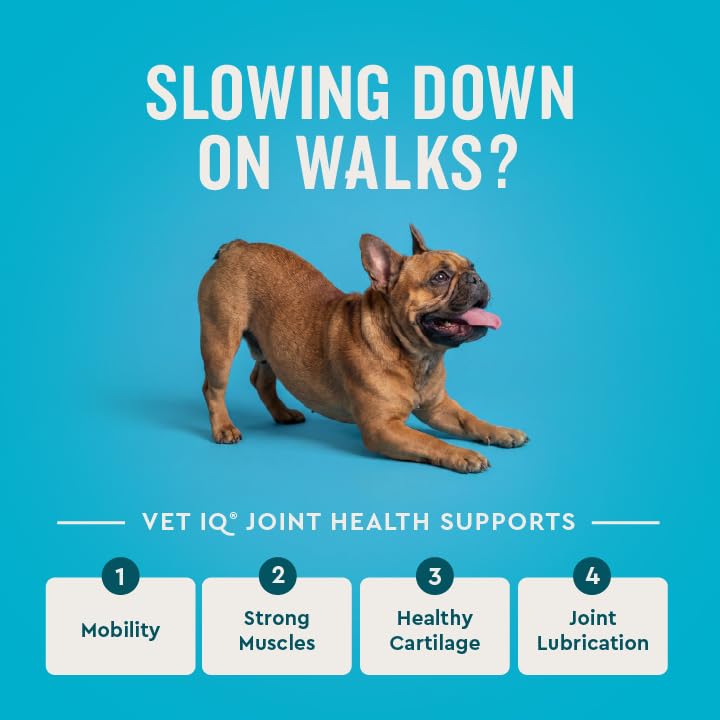 Hip & Joint Chewable Tablets for Dogs (Standard Strength / 60 Count (Chewable Tablets))