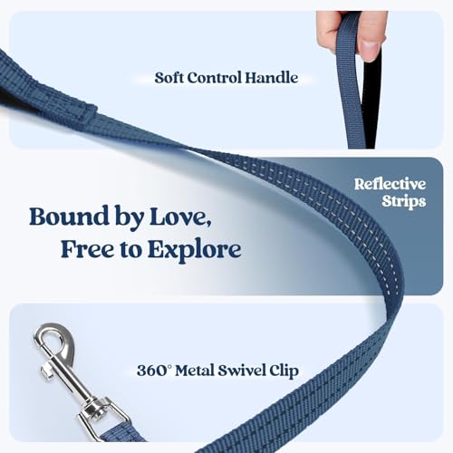 Dog Harness Medium Sized and Leash Set (Navy Blue / Xl (chest: 20 - 21.8"))