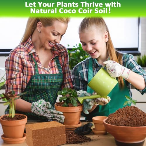 12 Pack Coco Coir Bricks for Plants (12 Pack)
