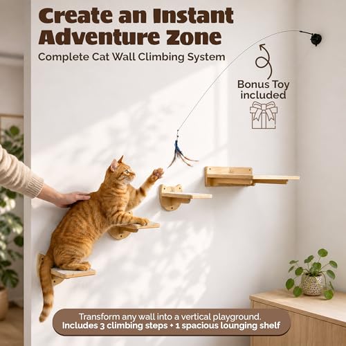 Cat Wall Shelves & Climbing System