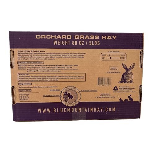 Orchard Grass Hay for Small Pets (15 Ounce (Pack of 1))