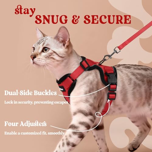 Cat Harness and Leash Set (Xxs / Red)