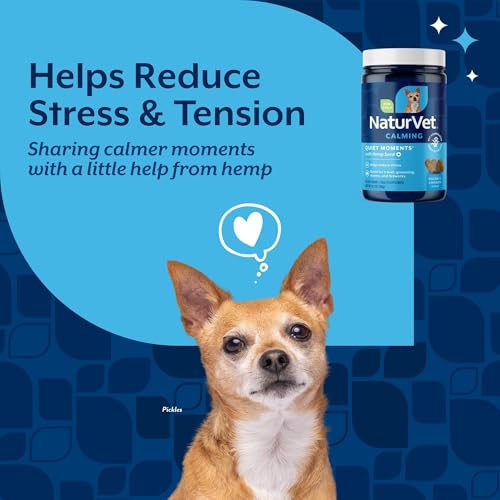 Quiet Moments Plus Hemp Calming Aid Soft Chews for Dogs (60 Count (Soft Chews))