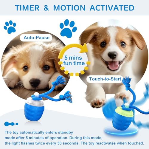 Interactive Dog Toys Ball (Blue / Medium/Large)