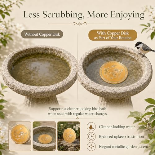 Bird Bath Copper Disk (G)