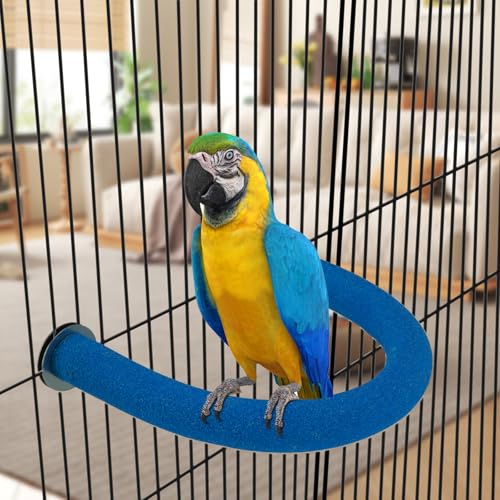 U Shaped Large Parrot Perch (X-Large / Blue)