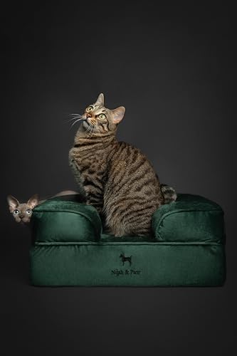 Cat Bed XS Dog Bed (Dark Green - VE / Small)