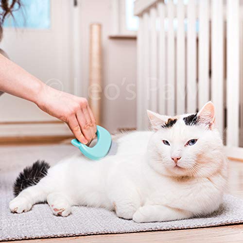 The Original Pet Hair Removal Massaging Shell Comb (Mint)
