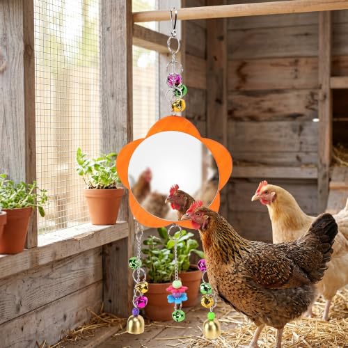 Hanging Bird Mirror Toy with Colored Bells for Parakeets