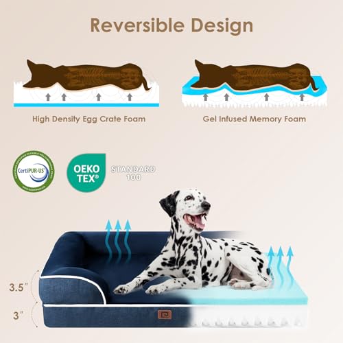 Orthopedic Dog Beds Large Sized Dog (Navy / 36.0"l X 27.0"w X 6.5"th)