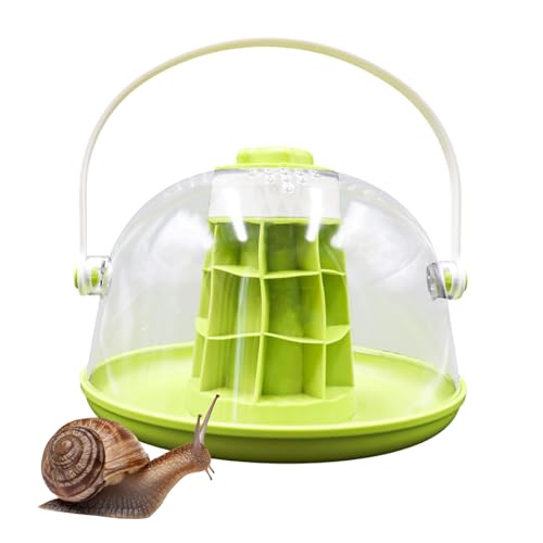 Round Transparent Snail Terrarium Kit