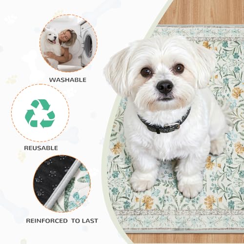 Washable Reusable Pee Pads for Dogs (Blue-02 / 3FT x 4FT (Pack of 2))