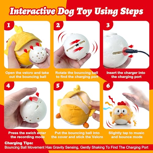 Interactive Dog Toys (Chick)