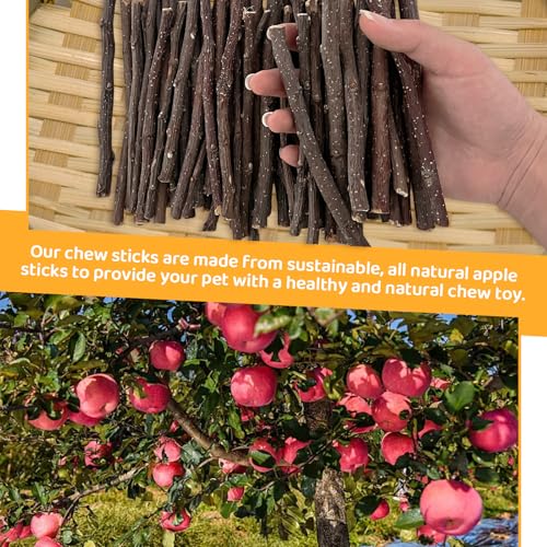 600g Apple Sticks Small Animals Wooden Pet Chew Treats Toys (1.32 Pound (Pack of 1))