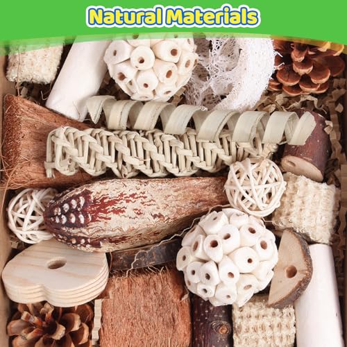 Bird Toys Parrot Toys Natural Bird Foraging Box Foot for Parakeets (Medium)